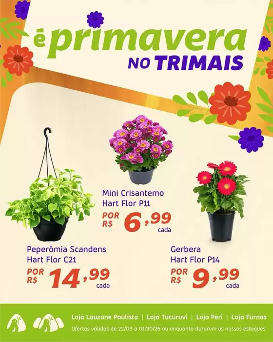 Catálogo Trimais Supermercado | Encarte Trimais Supermercado | 2026-09-22T00:00:00.000Z - 2026-10-01T00:00:00.000Z