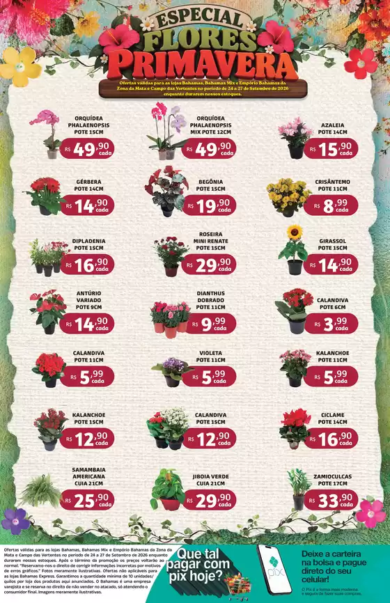 Catálogo Empório Bahamas em Ciríaco | Especial Flores Primavera | 2026-09-24T00:00:00.000Z - 2026-09-27T00:00:00.000Z