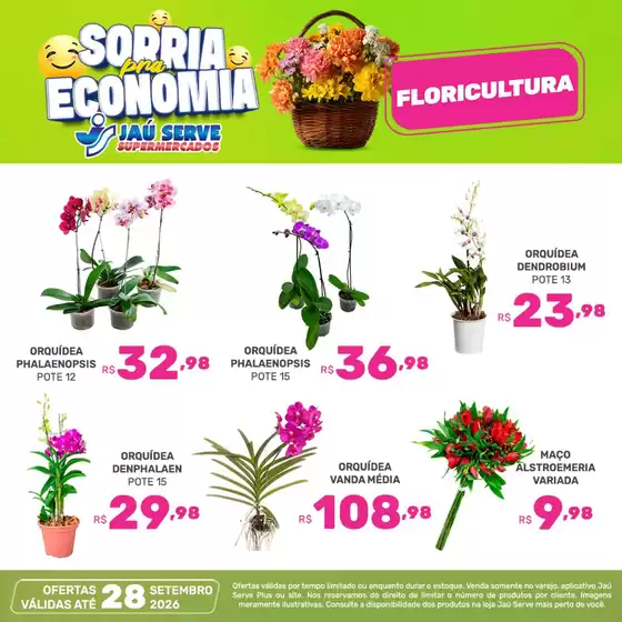 Catálogo Supermercados Jaù Serve | Floricultura | 2026-09-24T00:00:00.000Z - 2026-09-28T00:00:00.000Z