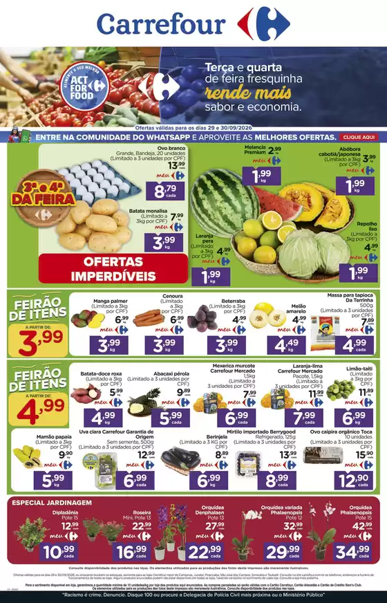 Catálogo Carrefour em Campinas | Melhores ofertas para todos os caçadores de pechinchas | 2026-09-29T00:00:00.000Z - 2026-09-30T00:00:00.000Z