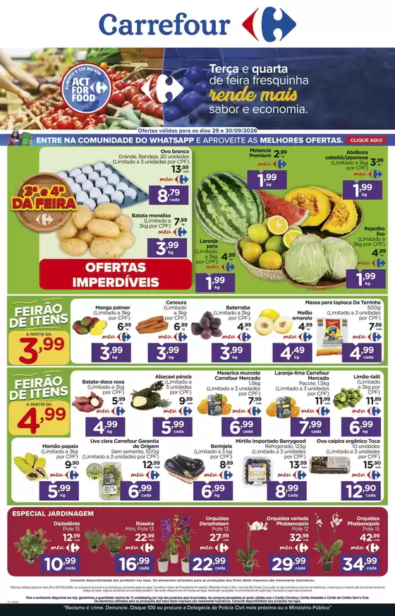 Catálogo Carrefour em Cachoeira de Goiás | Descubra ofertas atraentes | 2026-09-29T00:00:00.000Z - 2026-09-30T00:00:00.000Z