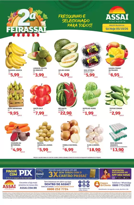 Catálogo Assaí Atacadista em Santa Fé de Goiás | Encarte Assaí Atacadista 173381-653 | 2026-10-05T00:00:00.000Z - 2026-10-05T00:00:00.000Z