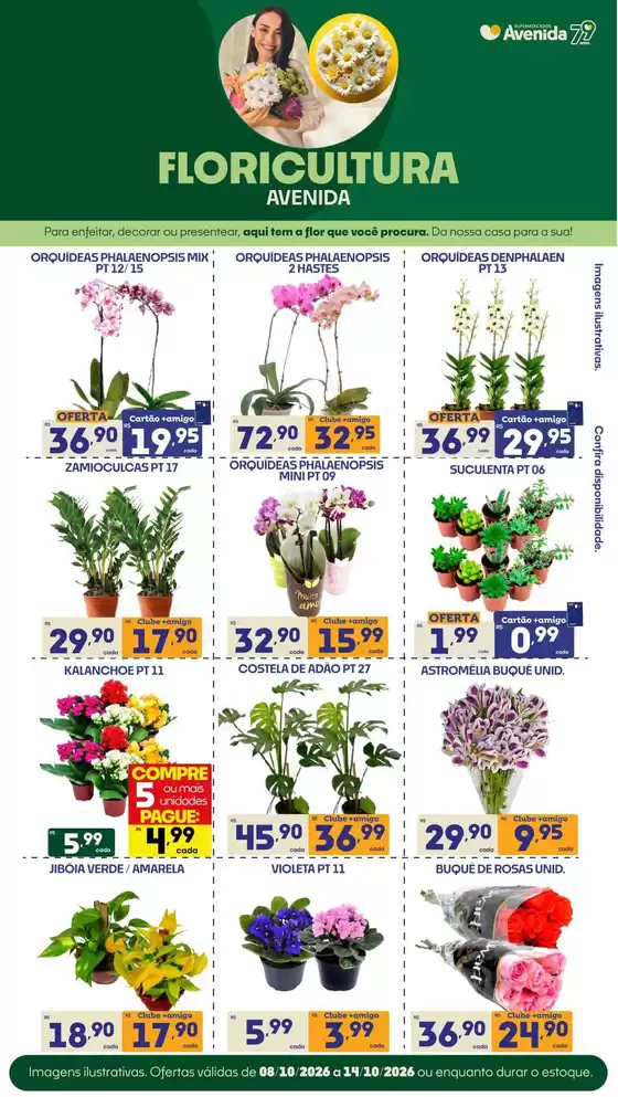 Catálogo Supermercados Avenida | Ofertas para caçadores de pechinchas | 2026-10-08T00:00:00.000Z - 2026-10-14T00:00:00.000Z
